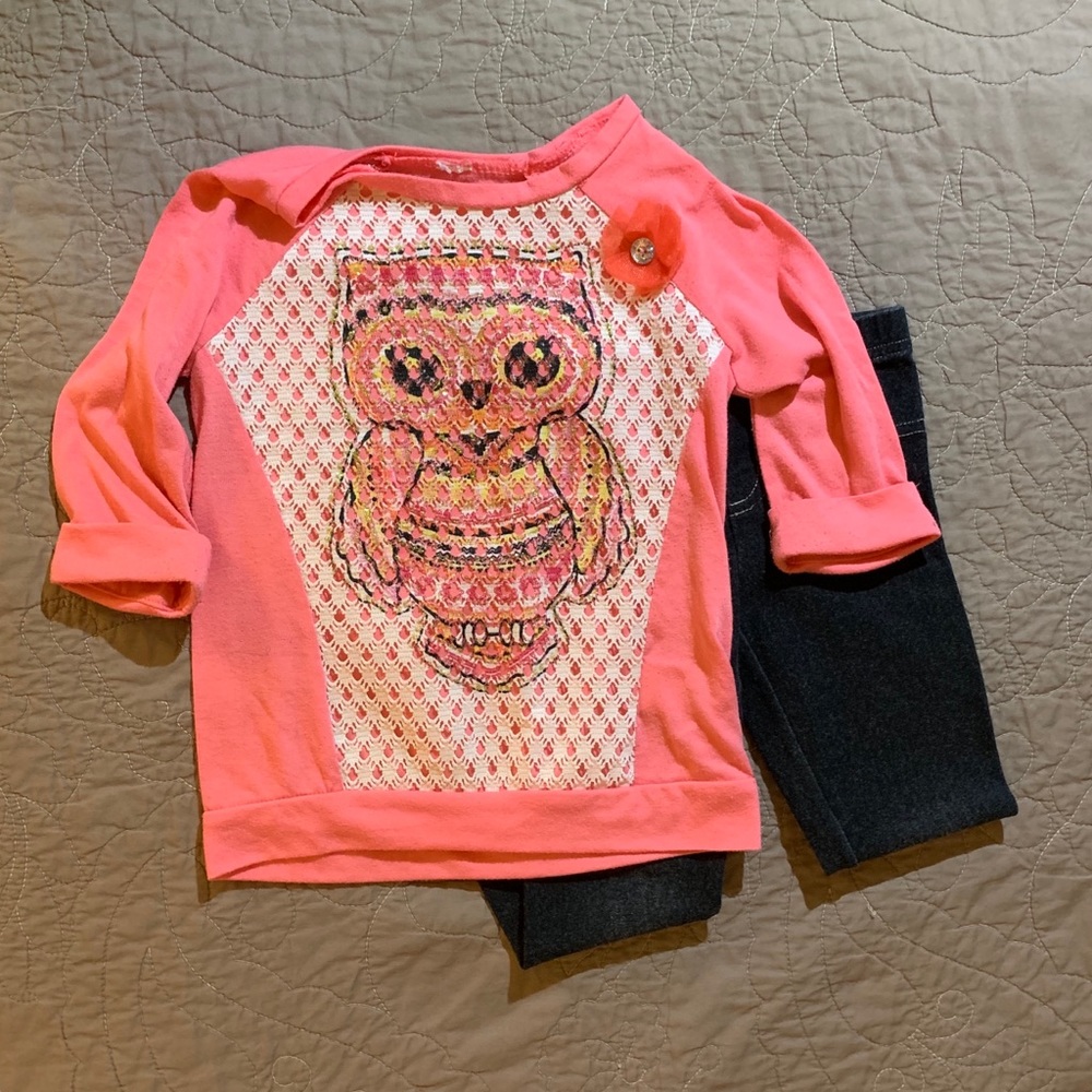 [4t] VGUC Girls Owl Top & Leggings Outfit/Mini Lot